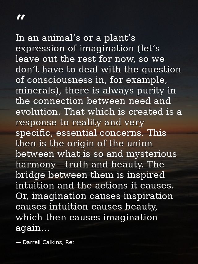 In an animal’s or a plant’s expression of imagination (let’s leave out the rest for now, so we don’t have to deal with t — Darrell Calkins, Re: