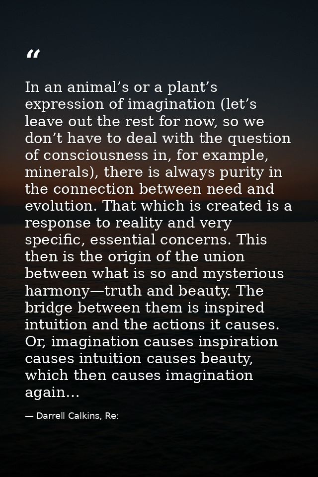 In an animal’s or a plant’s expression of imagination (let’s leave out the rest for now, so we don’t have to deal with t — Darrell Calkins, Re: