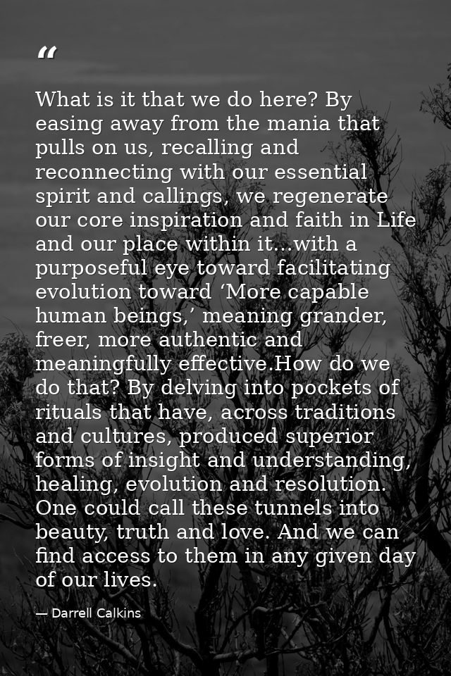 What is it that we do here? By easing away from the mania that pulls on us, recalling and reconnecting with our essentia — Darrell Calkins