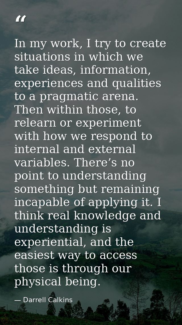 In my work, I try to create situations in which we take ideas, information, experiences and qualities to a pragmatic are — Darrell Calkins