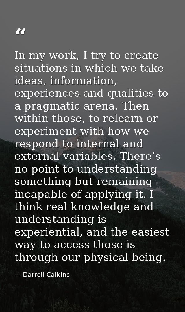 In my work, I try to create situations in which we take ideas, information, experiences and qualities to a pragmatic are — Darrell Calkins