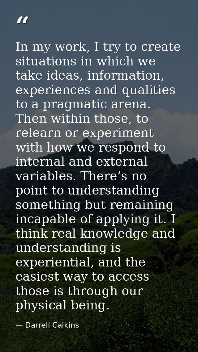 In my work, I try to create situations in which we take ideas, information, experiences and qualities to a pragmatic are — Darrell Calkins