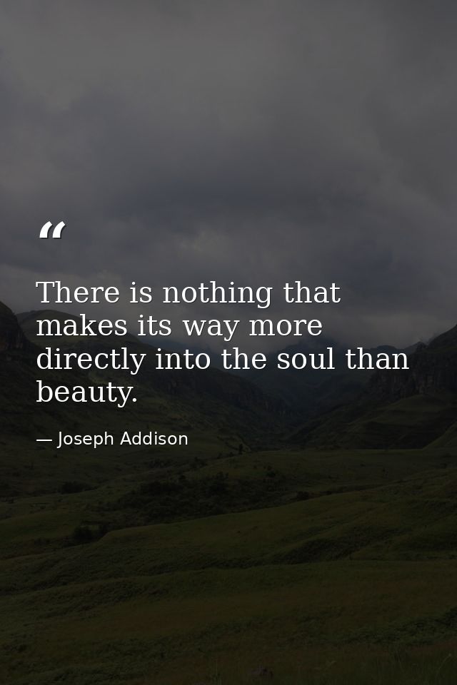 There is nothing that makes its way more directly into the soul than beauty. — Joseph Addison