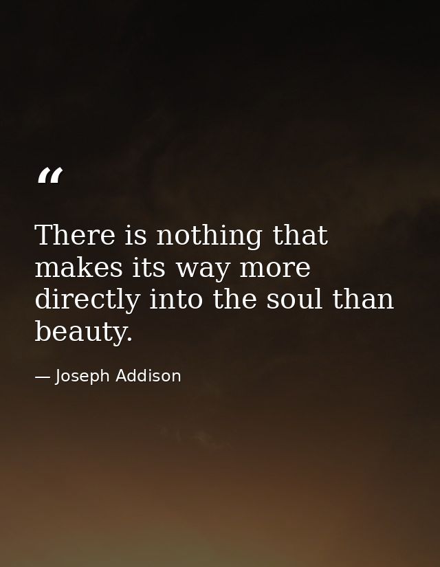 There is nothing that makes its way more directly into the soul than beauty. — Joseph Addison