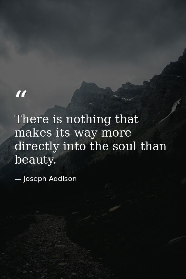 There is nothing that makes its way more directly into the soul than beauty. — Joseph Addison