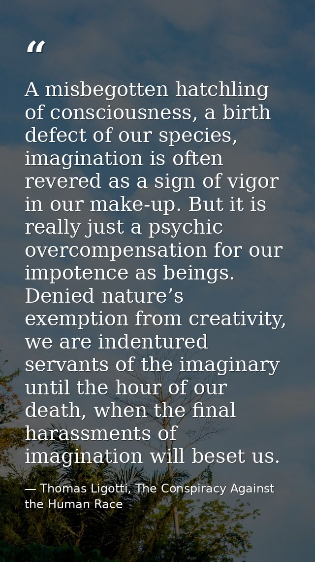 A misbegotten hatchling of consciousness, a birth defect of our species, imagination is often revered as a sign of vigor — Thomas Ligotti, The Conspiracy Against the Human Race