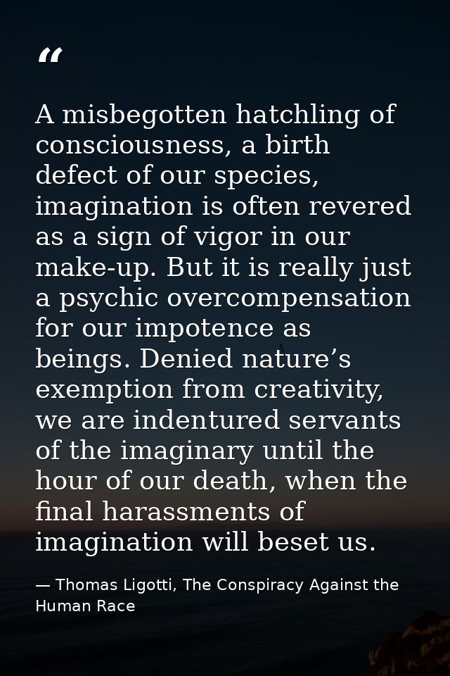 A misbegotten hatchling of consciousness, a birth defect of our species, imagination is often revered as a sign of vigor — Thomas Ligotti, The Conspiracy Against the Human Race