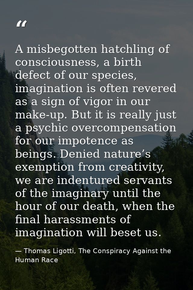 A misbegotten hatchling of consciousness, a birth defect of our species, imagination is often revered as a sign of vigor — Thomas Ligotti, The Conspiracy Against the Human Race