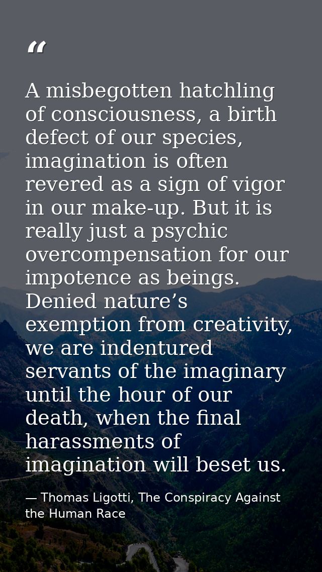 A misbegotten hatchling of consciousness, a birth defect of our species, imagination is often revered as a sign of vigor — Thomas Ligotti, The Conspiracy Against the Human Race