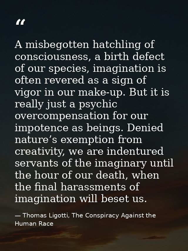 A misbegotten hatchling of consciousness, a birth defect of our species, imagination is often revered as a sign of vigor — Thomas Ligotti, The Conspiracy Against the Human Race