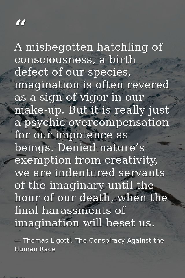 A misbegotten hatchling of consciousness, a birth defect of our species, imagination is often revered as a sign of vigor — Thomas Ligotti, The Conspiracy Against the Human Race
