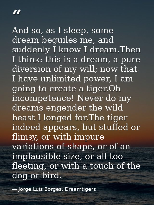 And so, as I sleep, some dream beguiles me, and suddenly I know I dream.Then I think: this is a dream, a pure diversion  — Jorge Luis Borges, Dreamtigers