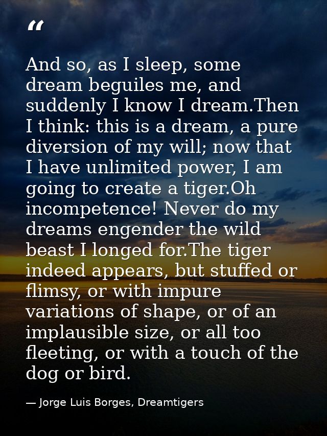 And so, as I sleep, some dream beguiles me, and suddenly I know I dream.Then I think: this is a dream, a pure diversion  — Jorge Luis Borges, Dreamtigers