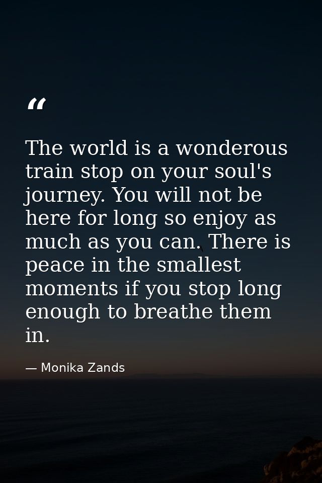 The world is a wonderous train stop on your soul's journey. You will not be here for long so enjoy as much as you can. T — Monika Zands
