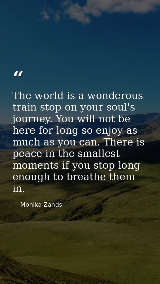 The world is a wonderous train stop on your soul's journey. You will not be here for long so enjoy as much as you can. T — Monika Zands
