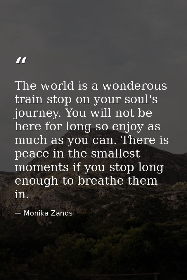 The world is a wonderous train stop on your soul's journey. You will not be here for long so enjoy as much as you can. T — Monika Zands