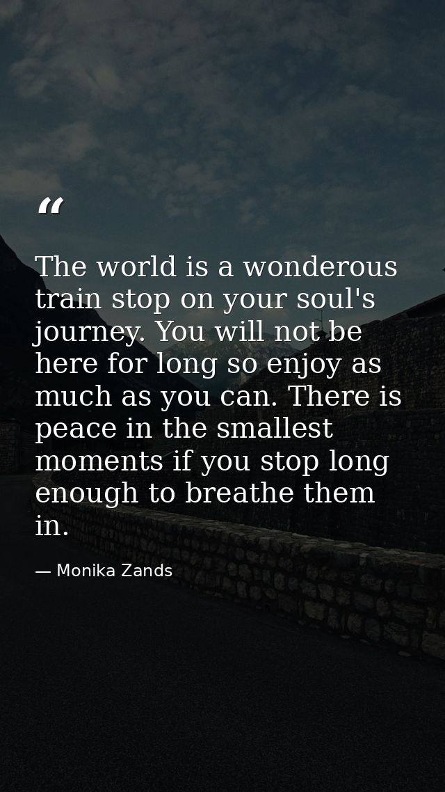 The world is a wonderous train stop on your soul's journey. You will not be here for long so enjoy as much as you can. T — Monika Zands