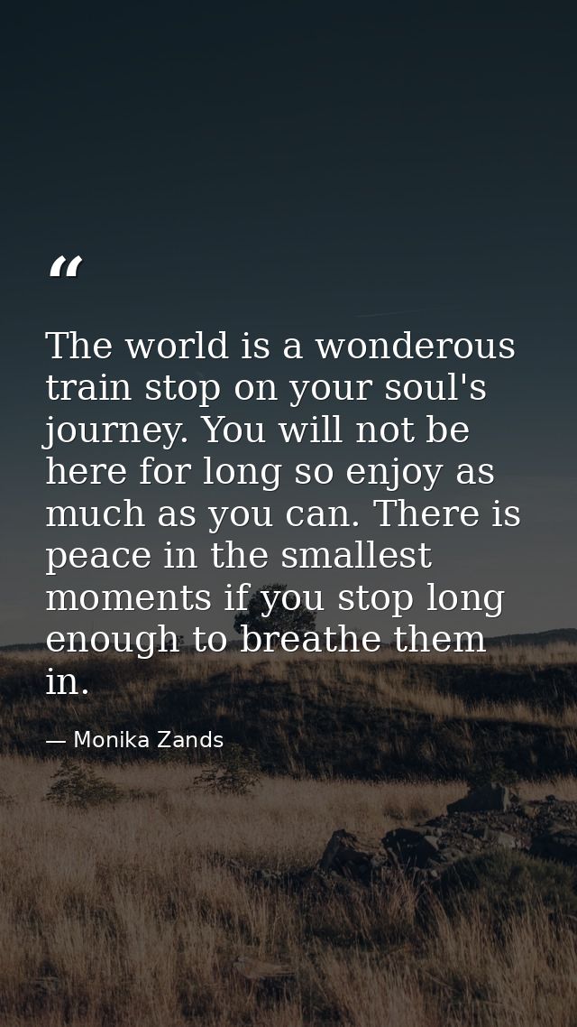 The world is a wonderous train stop on your soul's journey. You will not be here for long so enjoy as much as you can. T — Monika Zands