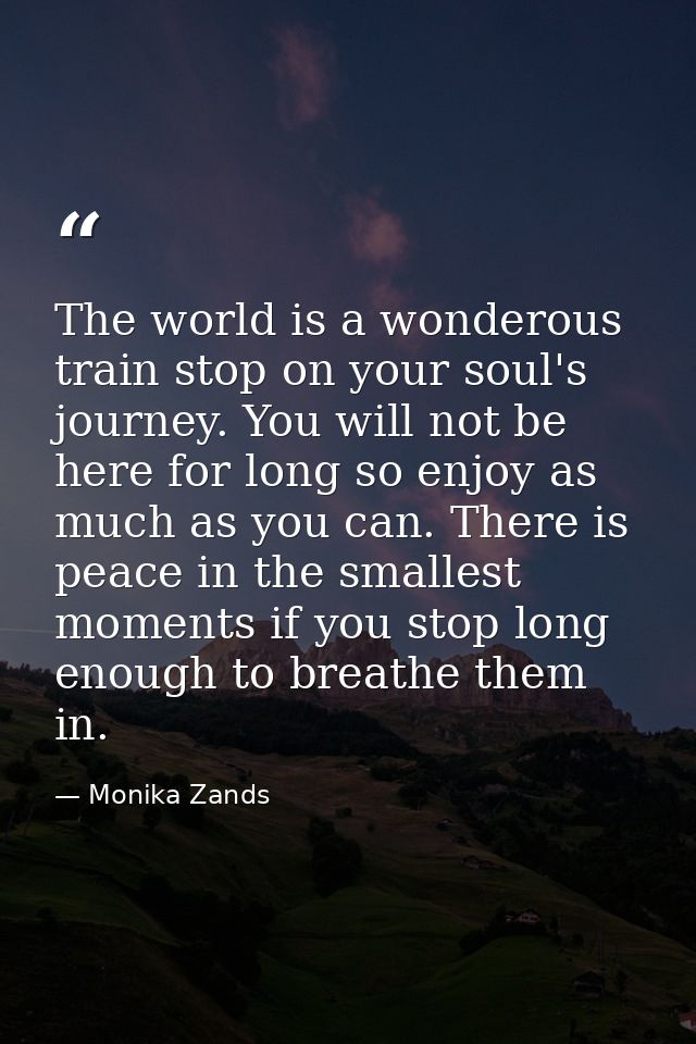 The world is a wonderous train stop on your soul's journey. You will not be here for long so enjoy as much as you can. T — Monika Zands