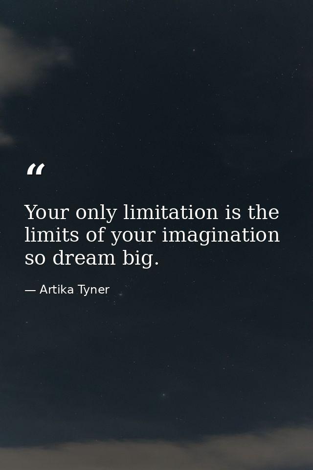 Your only limitation is the limits of your imagination so dream big. — Artika Tyner