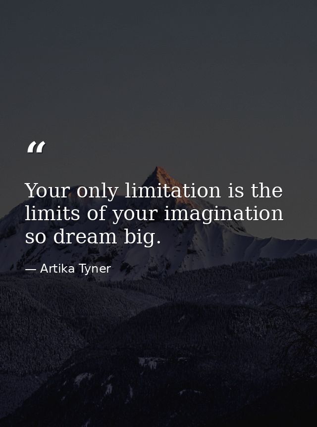 Your only limitation is the limits of your imagination so dream big. — Artika Tyner