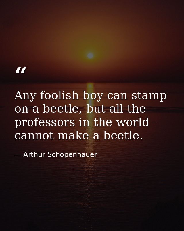 Any foolish boy can stamp on a beetle, but all the professors in the world cannot make a beetle. — Arthur Schopenhauer