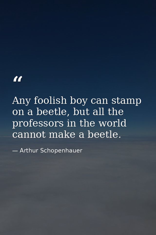 Any foolish boy can stamp on a beetle, but all the professors in the world cannot make a beetle. — Arthur Schopenhauer