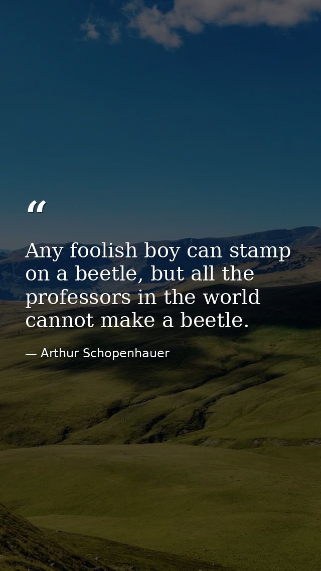 Any foolish boy can stamp on a beetle, but all the professors in the world cannot make a beetle. — Arthur Schopenhauer