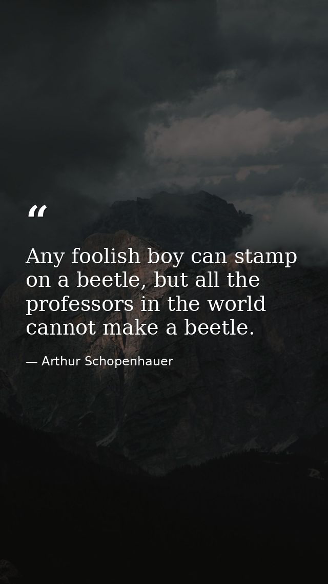 Any foolish boy can stamp on a beetle, but all the professors in the world cannot make a beetle. — Arthur Schopenhauer