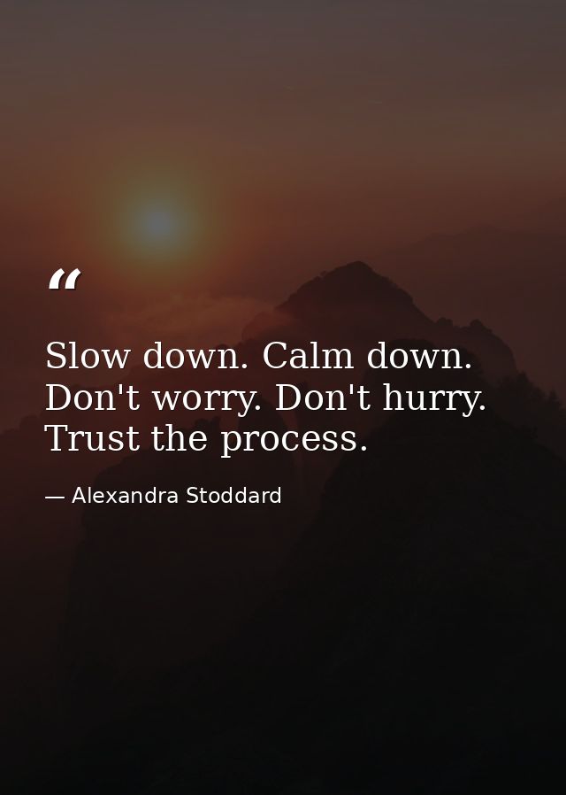 Slow down. Calm down. Don't worry. Don't hurry. Trust the process. — Alexandra Stoddard