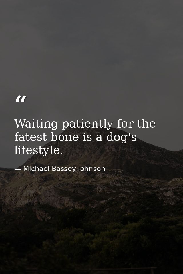 Waiting patiently for the fatest bone is a dog's lifestyle. — Michael Bassey Johnson