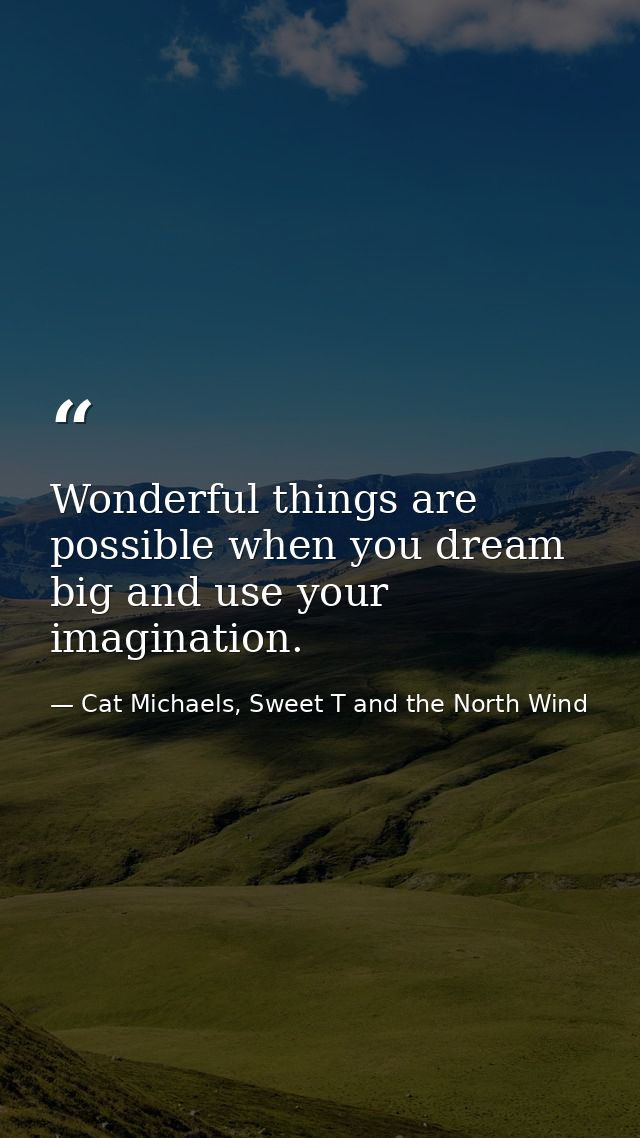 Wonderful things are possible when you dream big and use your imagination. — Cat Michaels, Sweet T and the North Wind