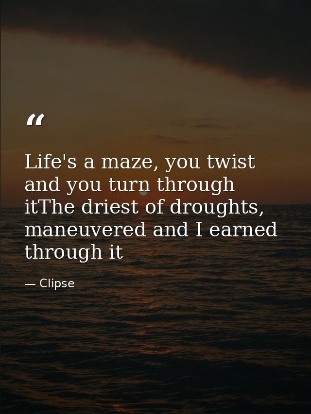 Life's a maze, you twist and you turn through itThe driest of droughts, maneuvered and I earned through it — Clipse