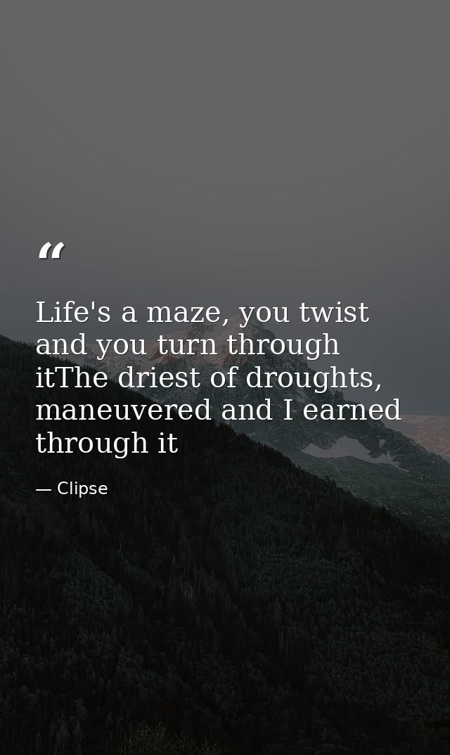 Life's a maze, you twist and you turn through itThe driest of droughts, maneuvered and I earned through it — Clipse
