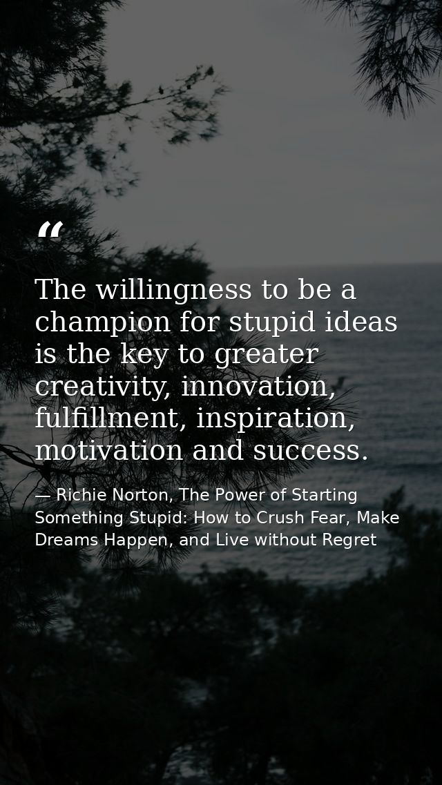 The willingness to be a champion for stupid ideas is the key to greater creativity, innovation, fulfillment, inspiration — Richie Norton, The Power of Starting Something Stupid: How to Crush Fear, Make Dreams Happen, and Live without Regret