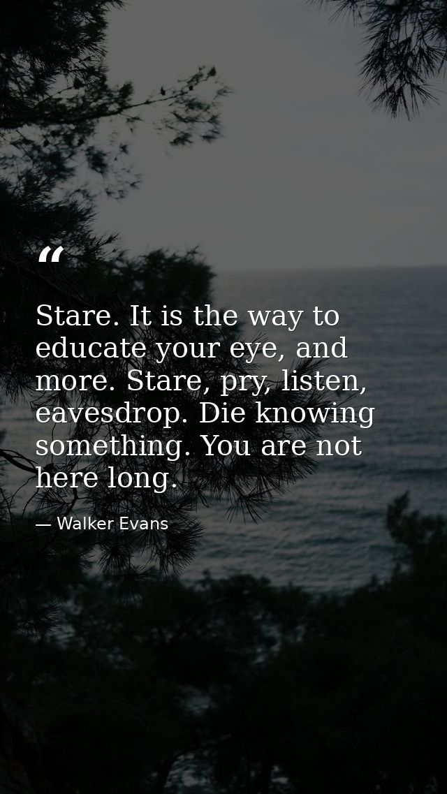 Stare. It is the way to educate your eye, and more. Stare, pry, listen, eavesdrop. Die knowing something. You are not he — Walker Evans