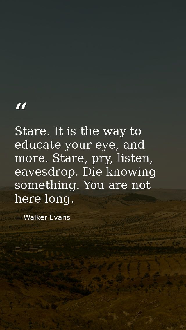 Stare. It is the way to educate your eye, and more. Stare, pry, listen, eavesdrop. Die knowing something. You are not he — Walker Evans