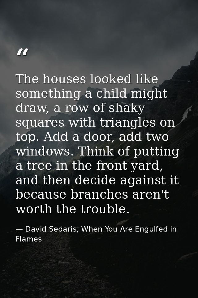 The houses looked like something a child might draw, a row of shaky squares with triangles on top. Add a door, add two w — David Sedaris, When You Are Engulfed in Flames