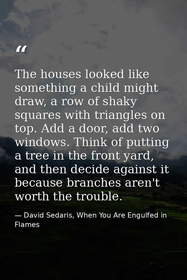 The houses looked like something a child might draw, a row of shaky squares with triangles on top. Add a door, add two w — David Sedaris, When You Are Engulfed in Flames