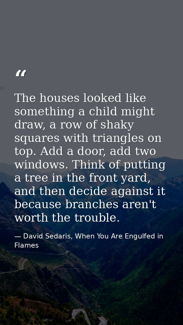 The houses looked like something a child might draw, a row of shaky squares with triangles on top. Add a door, add two w — David Sedaris, When You Are Engulfed in Flames