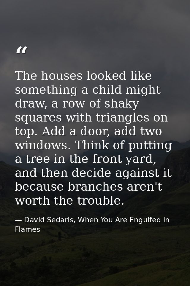 The houses looked like something a child might draw, a row of shaky squares with triangles on top. Add a door, add two w — David Sedaris, When You Are Engulfed in Flames