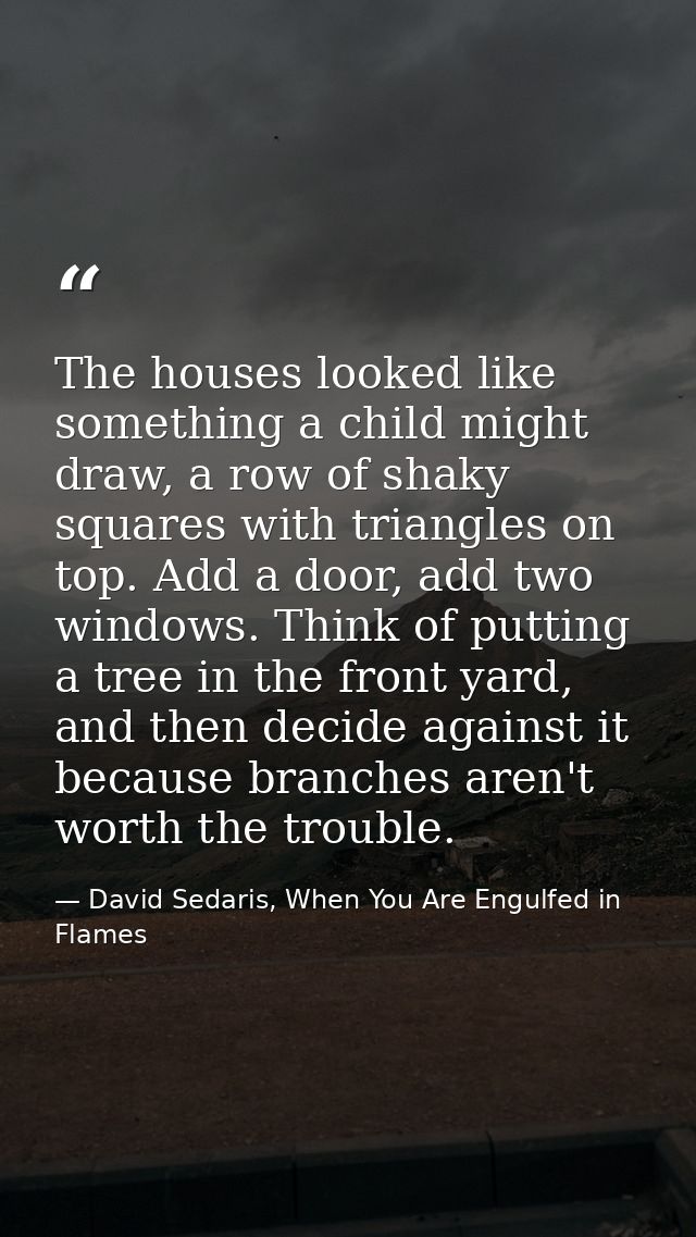 The houses looked like something a child might draw, a row of shaky squares with triangles on top. Add a door, add two w — David Sedaris, When You Are Engulfed in Flames