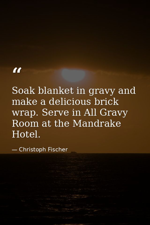Soak blanket in gravy and make a delicious brick wrap. Serve in All Gravy Room at the Mandrake Hotel. — Christoph Fischer