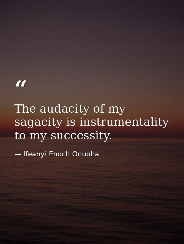 The audacity of my sagacity is instrumentality to my successity. — Ifeanyi Enoch Onuoha
