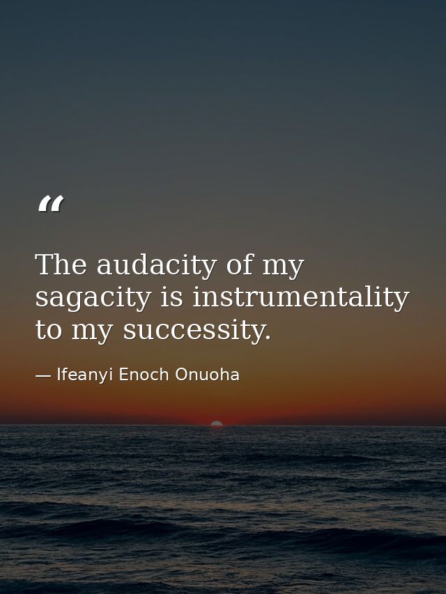The audacity of my sagacity is instrumentality to my successity. — Ifeanyi Enoch Onuoha