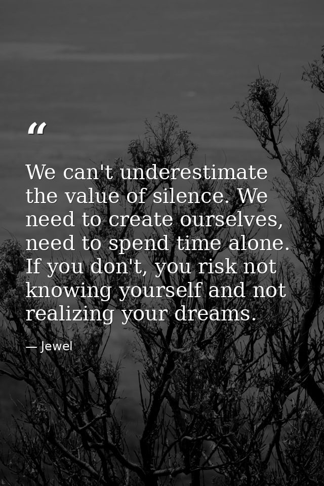 We can't underestimate the value of silence. We need to create ourselves, need to spend time alone. If you don't, you ri — Jewel