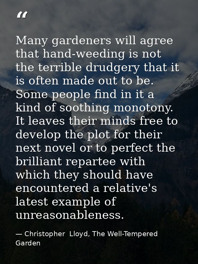Many gardeners will agree that hand-weeding is not the terrible drudgery that it is often made out to be. Some people fi — Christopher  Lloyd, The Well-Tempered Garden