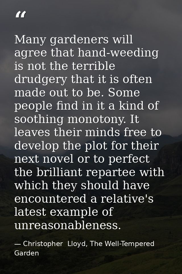 Many gardeners will agree that hand-weeding is not the terrible drudgery that it is often made out to be. Some people fi — Christopher  Lloyd, The Well-Tempered Garden