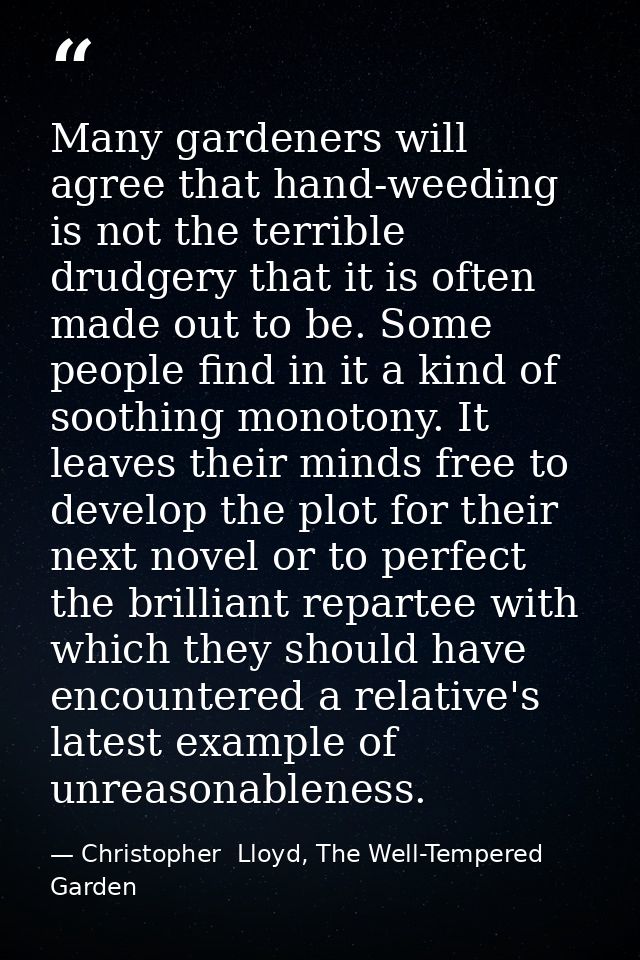 Many gardeners will agree that hand-weeding is not the terrible drudgery that it is often made out to be. Some people fi — Christopher  Lloyd, The Well-Tempered Garden
