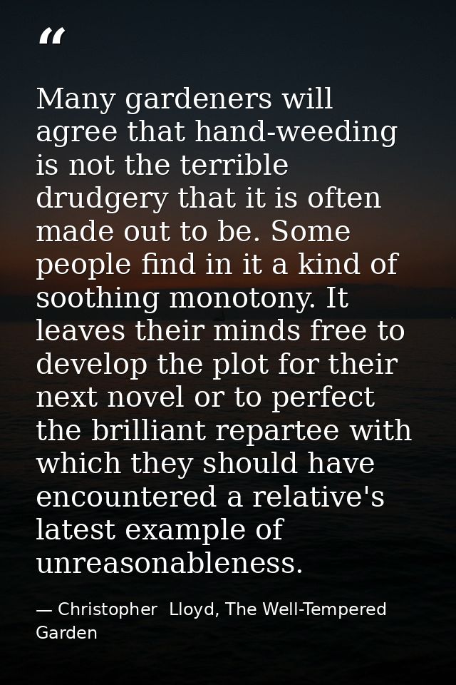 Many gardeners will agree that hand-weeding is not the terrible drudgery that it is often made out to be. Some people fi — Christopher  Lloyd, The Well-Tempered Garden